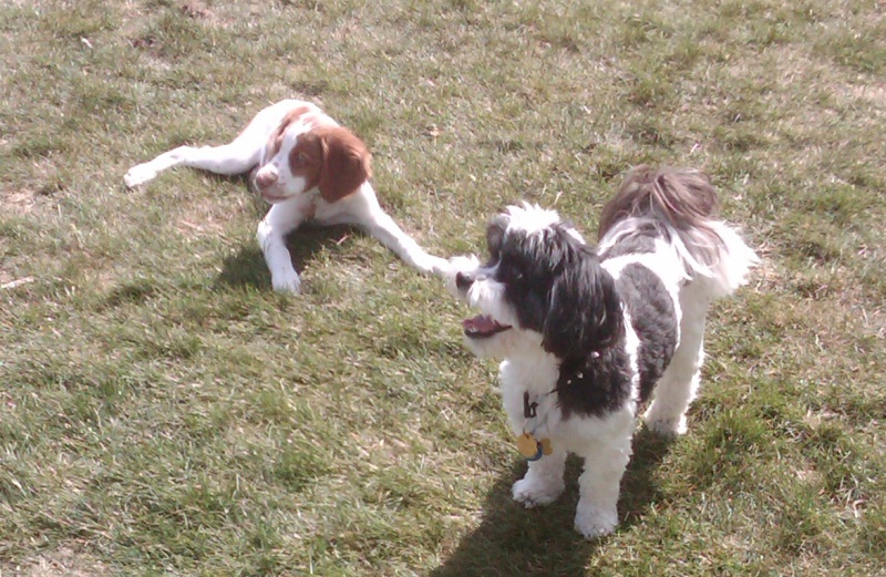 Buck and Baxter 3-27-10