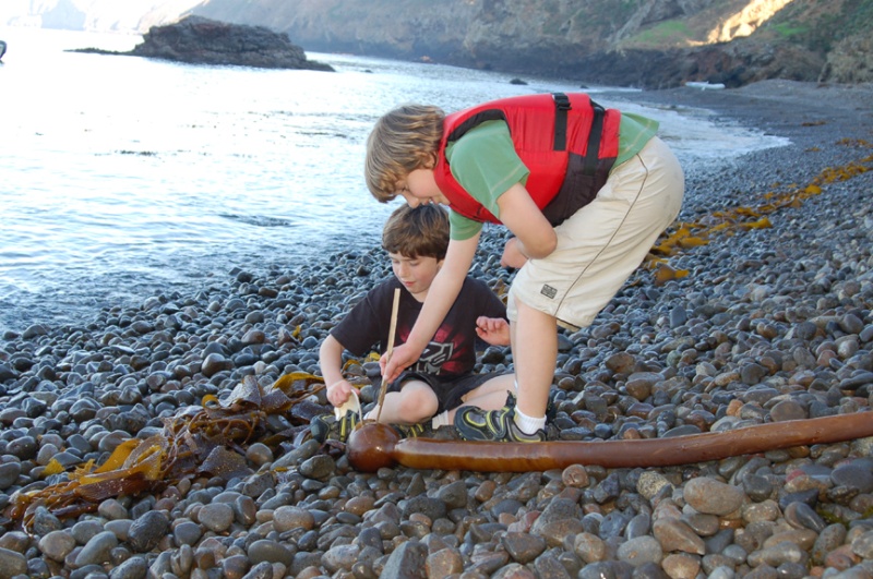 Budding biologists -- the first necropsy.