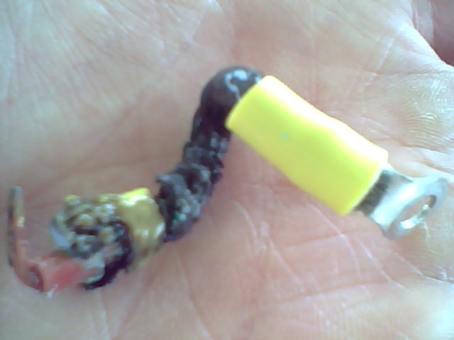 Burnt AC wire...I believe the culprit was corrosion causing resistance and thus heat when connected to shore power.
