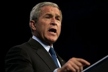 bush7