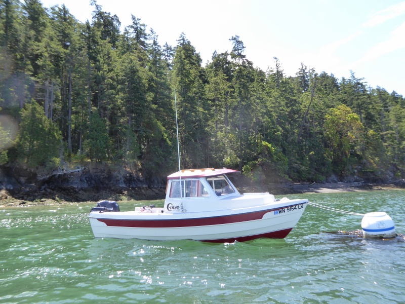 By the time I had the dinghy inflated to go ashore to pay the buoy fee, the wind at Hope Island had picked up...glad I snagged the last buoy around 11AM, the currents are swift through this area, although many yachts anchor here as well without any apparent issues.