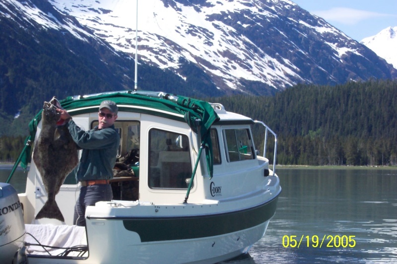(C-Biscuit) A nice 45 lb halibut