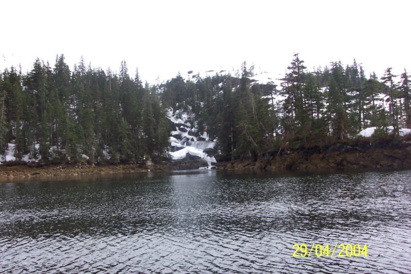 (C-Biscuit) Hidden Cove PWS