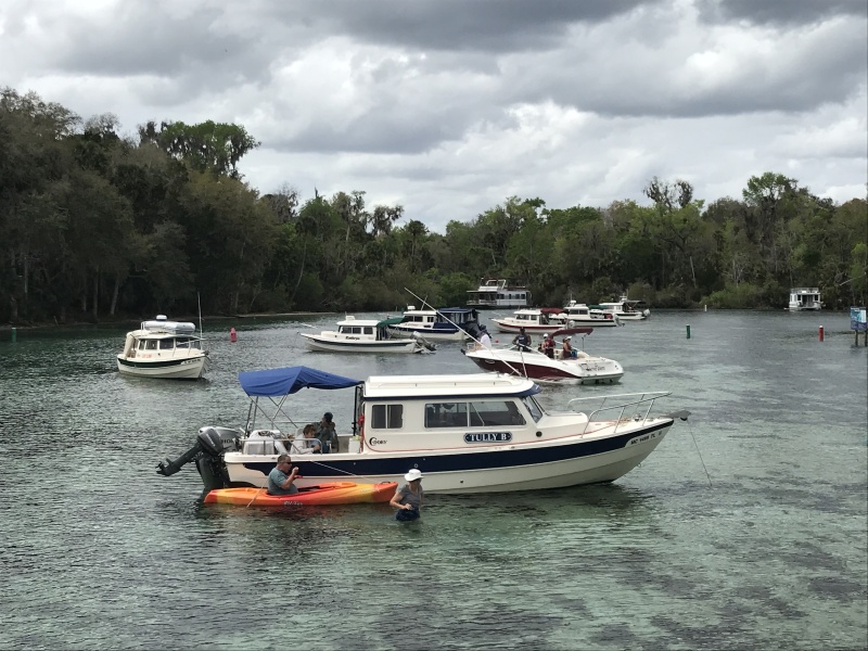 C-Brats anchored in Silver Glen Springs