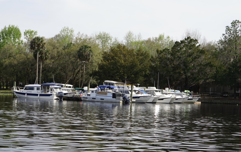 C Brats Fill Pontoon marina!