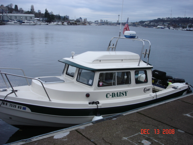 C-DAISY