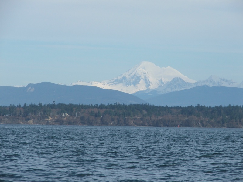 (c-dancer) Another Shot-Mount Baker-Padilla Bay-Feb 2006