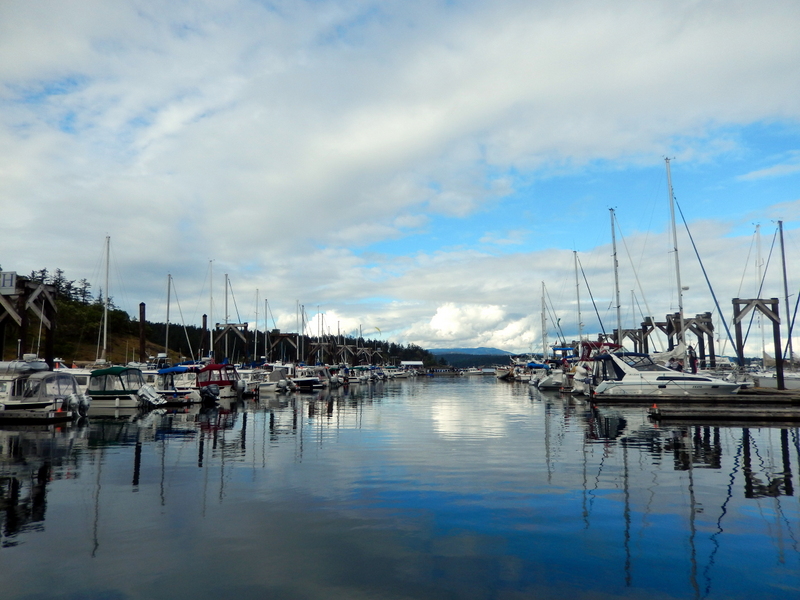 C-Dories docked (on the left) at Friday Harbor Marina for the gathering, 
along with other boats on the right