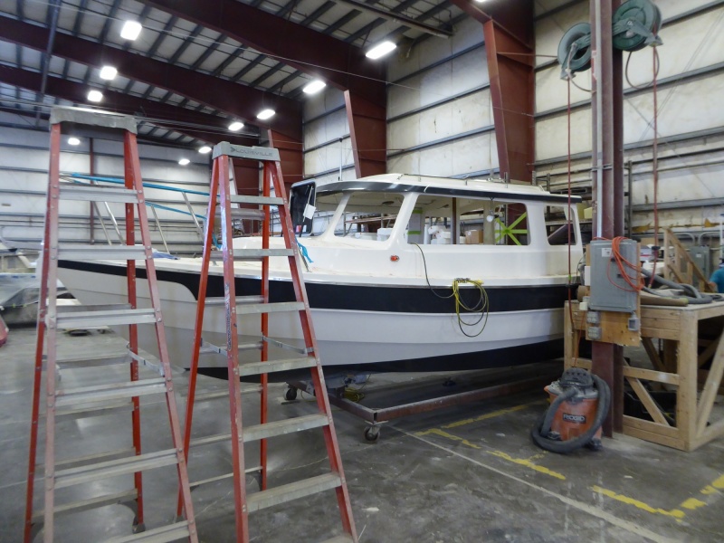 C-dory 25