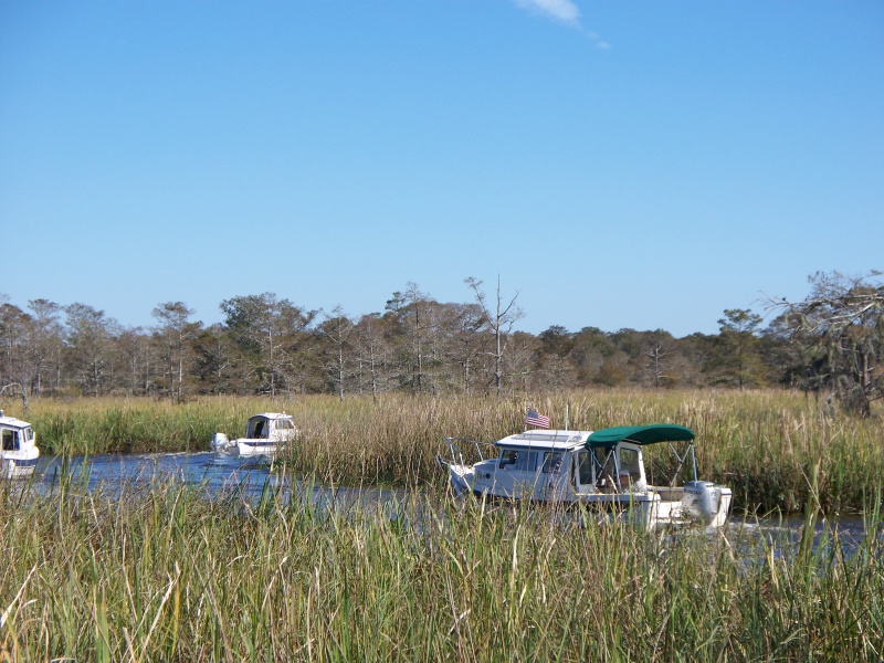 C-Dory Gathering 2009 070