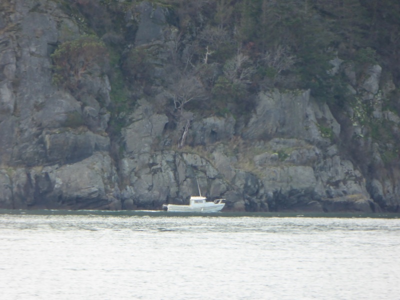 C-Dory sighting - Angler leaving Cap Sante