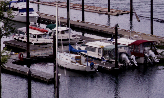 C-Dorys at Indian Cove 2009