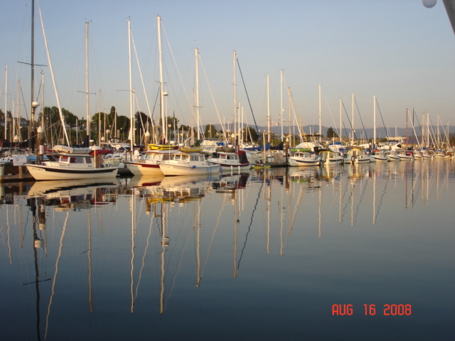 C-Dorys at P Dock