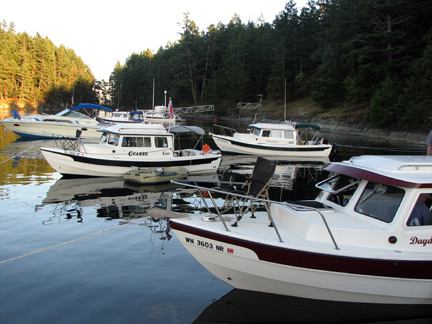 C-Dorys at Pirates\' Cove