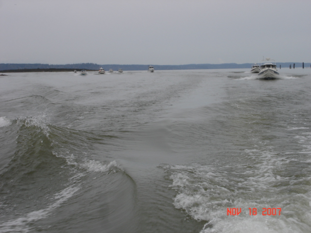 C-Dorys back of the waves