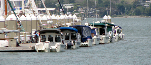 C-Dorys lined up on the dock at Sausalito