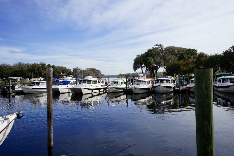 C Dorys on B dock
