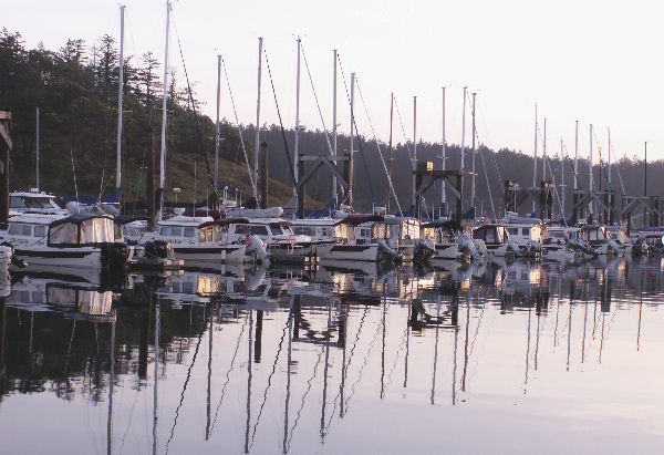 C-Dorys on H Dock Friday Harbor