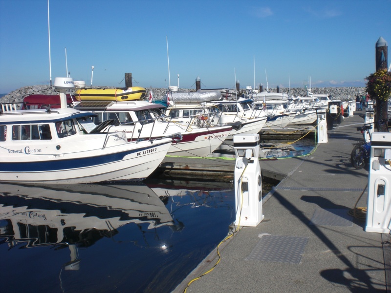 C-Dory's Sidney Gathering.