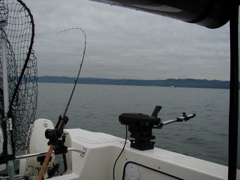 (C-Fisher)In Action