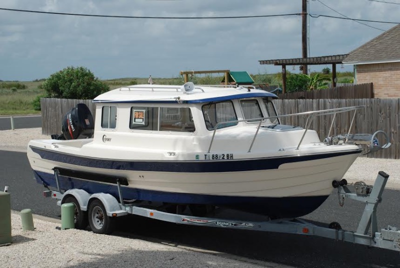 C Gull For Sale