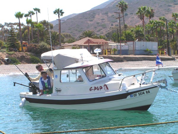 (C-Pup16 in Los Angeles) Catalina Gathering \"On The Sting\"