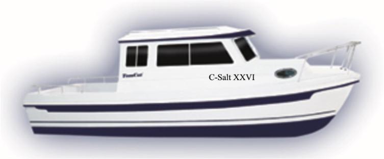 C-Salt XXVI