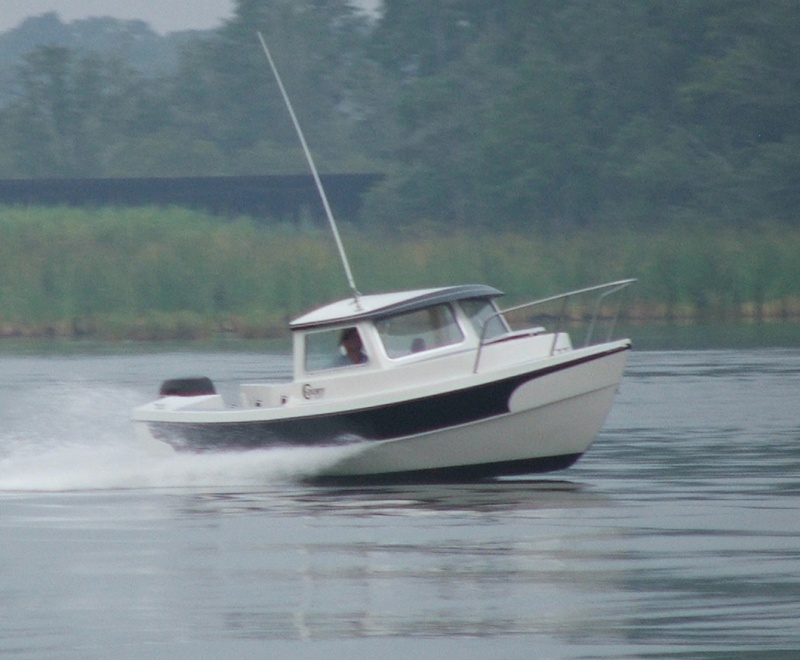C-Trial Zoom