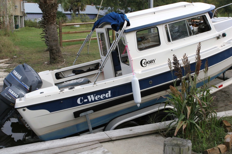 C Weed launches