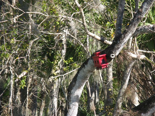 Caboose style birdhouse
