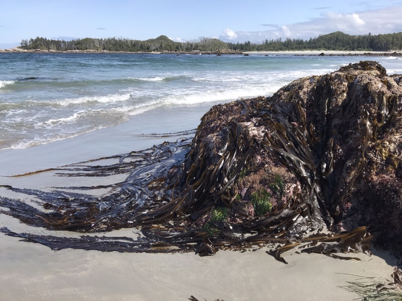 Calvert Island