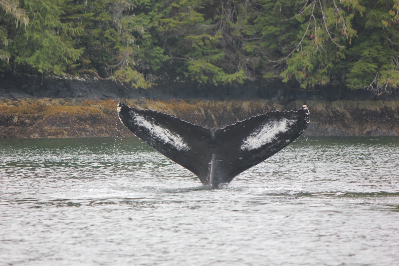 Canada 2013 1292