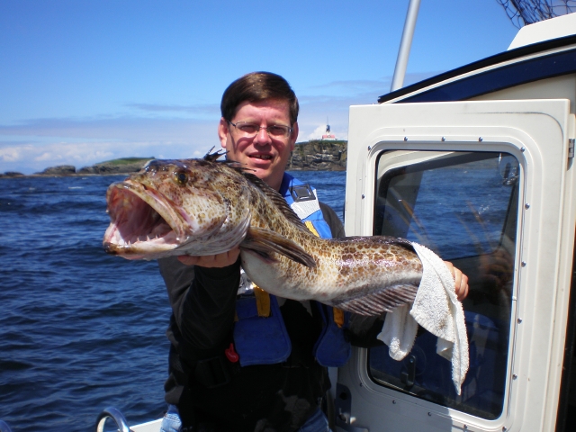 Cape Alava ling cod