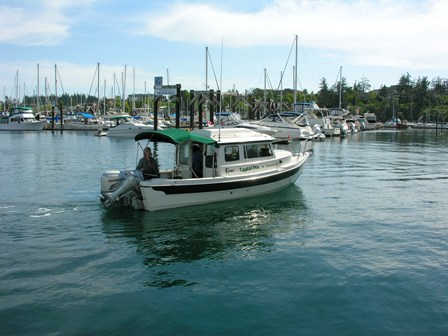 Capital Sea