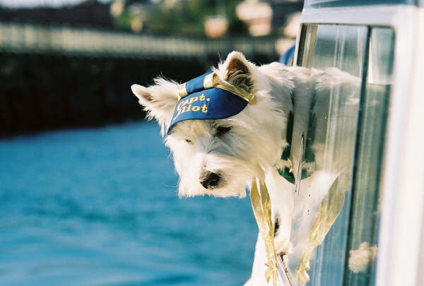 Captain Elliot