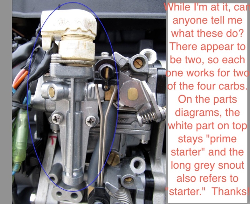 carbs 2 annotated