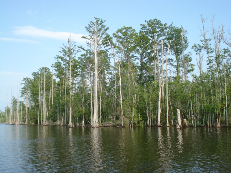 carolina loop 080
