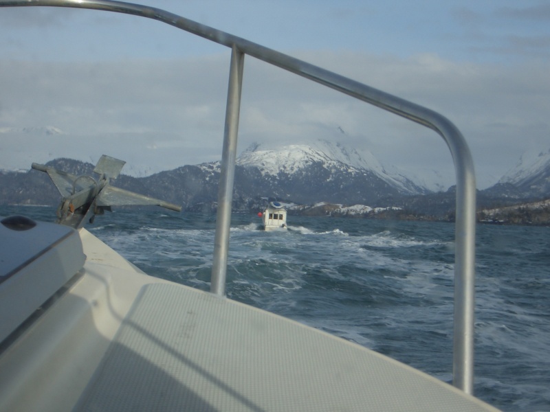 (catdogcat) 4/5 foot seas.