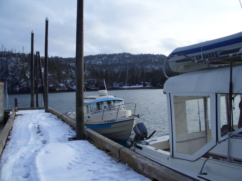 (catdogcat) Still snow on the docks!