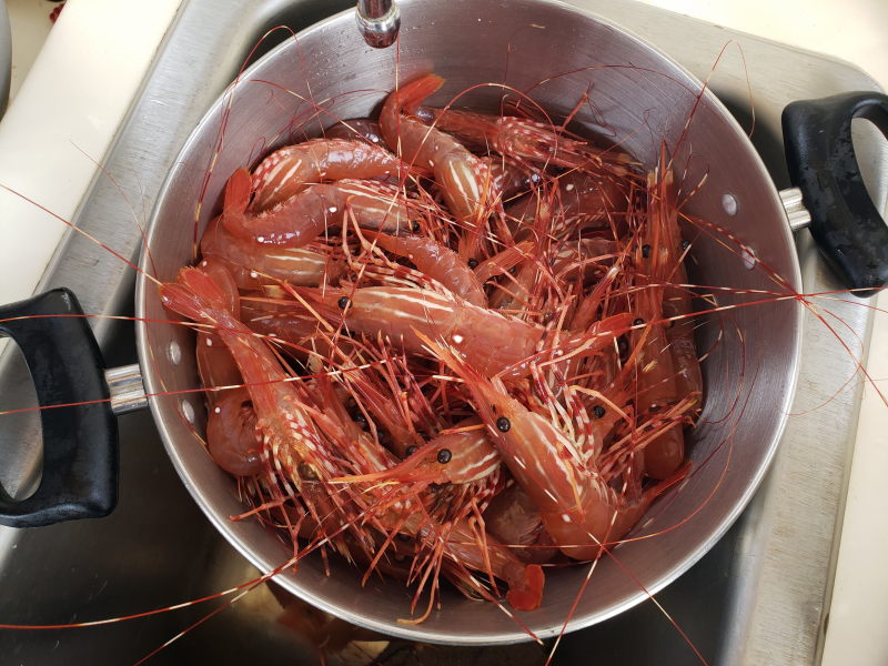 Caught a nice prawn dinner just outside Echo Bay