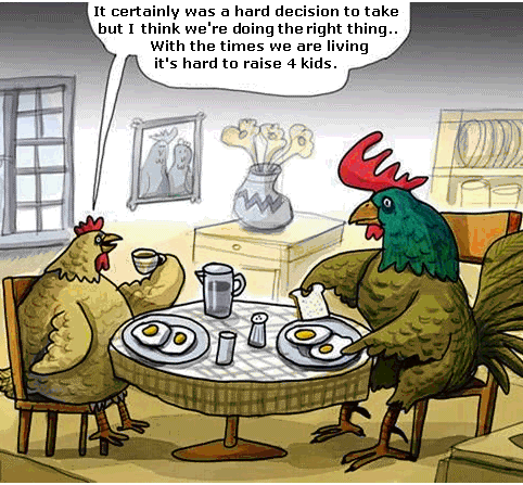 Chicken Humor