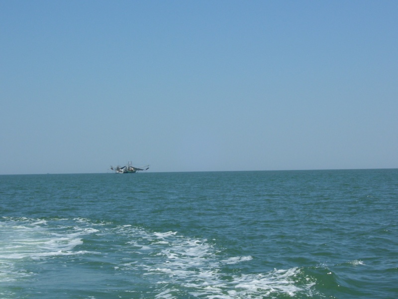 Choctawhatchee Bay Shrimper