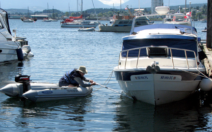 Cleaning the waterline