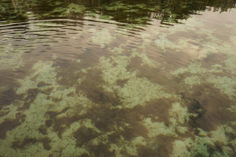 Clear water!