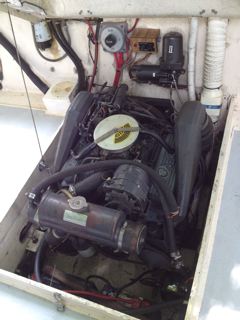 Close-up of OMC Cobra
