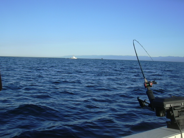 Coast Guard and Sub