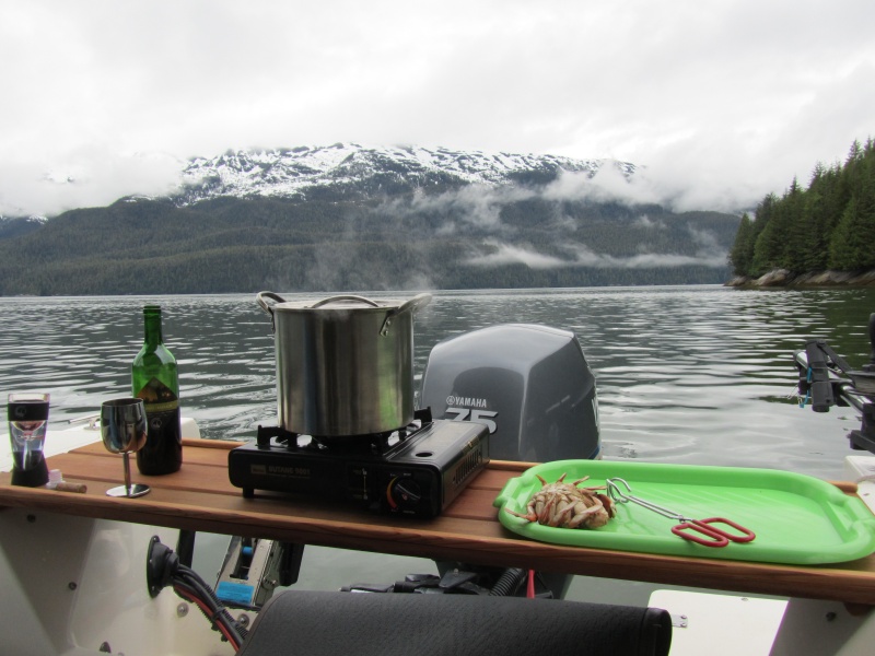 cockpit table, removable