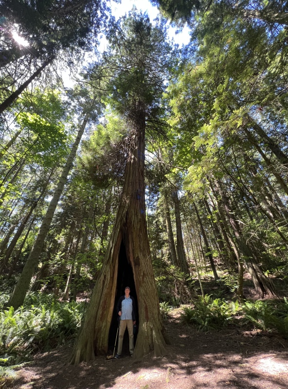 Colby standing inside a tree at Matia Island