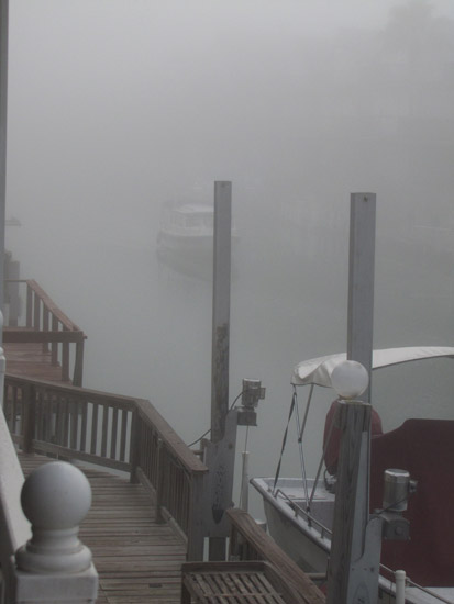 Coming home in the fog