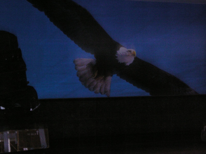 Coming in for a closer look, somewhere in PWS.